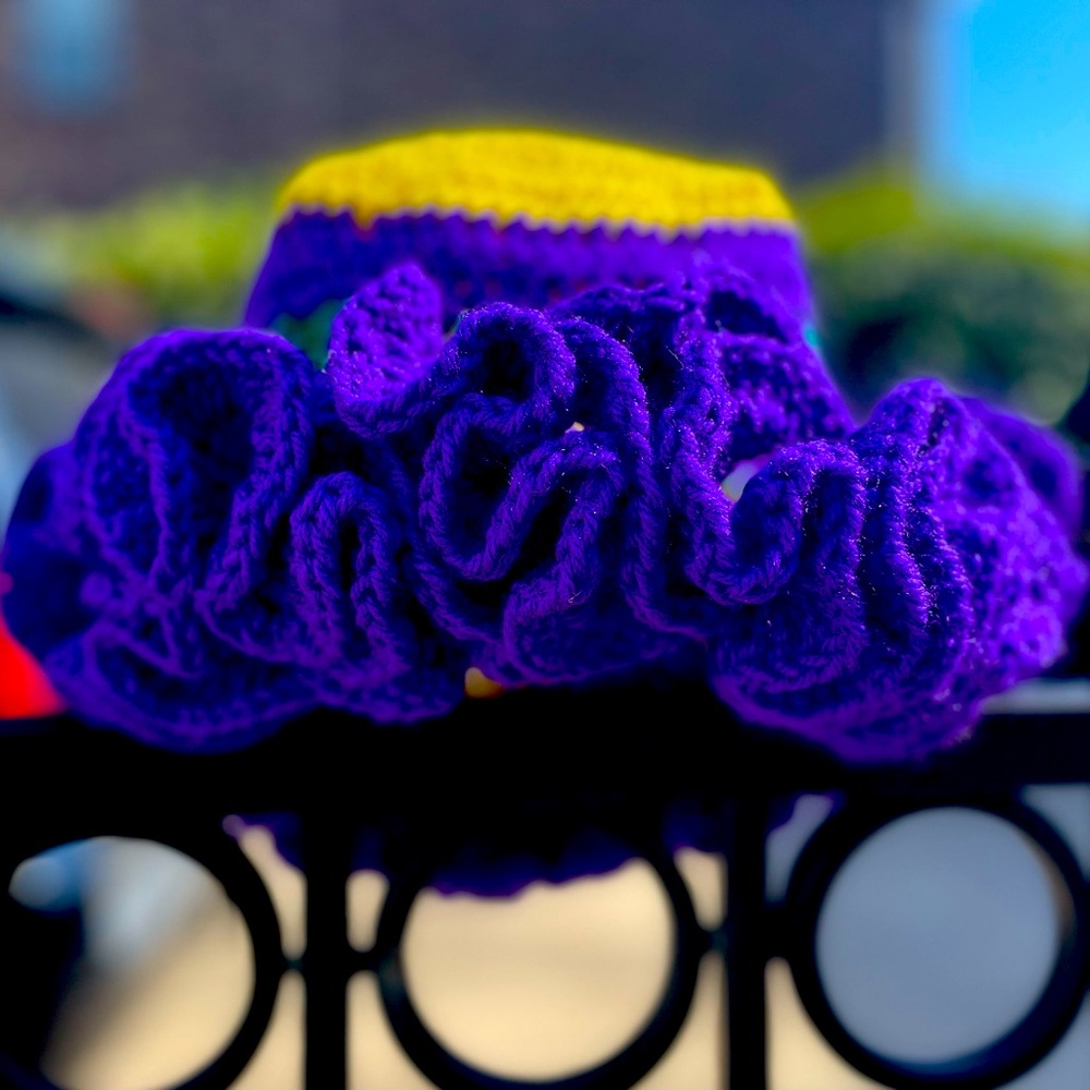 Ruffled Crochet Hat in Mardi Gras colors!